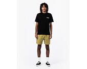 Kraťasy Dickies Pelican Rapids Olive Lanzones