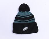 Kulich New Era NFL22 Sideline Sport Knit Philadelphia Eagles Team Color
