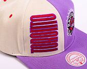 Kšiltovka Mitchell & Ness NBA Pop Panel Snapback Hwc Toronto Raptors Off White