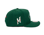 Kšiltovka Mitchell & Ness - Minnesota Wild - Double Clutch Pro Snapback - Green