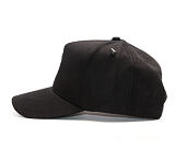 Kšiltovka Pink Dolphin Boosace Black Snapback