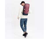 Batoh Aevor Daypack Bichrome Iris
