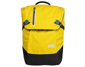 Batoh Aevor Daypack Bichrome Sub