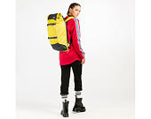 Batoh Aevor Trip Pack Bichrome Sub