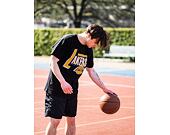 Triko Mitchell & Ness Los Angeles Lakers Center Circle SSTEINTL930 Washed Black