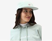 Kšiltovka Dickies Sleetmute Camper Hat Mint