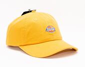 Kšiltovka Dickies 6 Panel Logo Cap C96