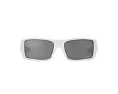 Pánské Sluneční Brýle Oakley Gascan X-Silver w/Prizm Black Plr 0OO9014 9014C160