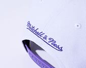 Kšiltovka Mitchell & Ness FAST TIMES SNAPBACK HWC TORONTO RAPTORS White