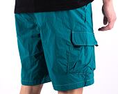 Kraťasy Dickies JACKSON CARGO SHORT DK0A4YACE641