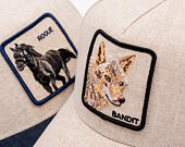 Kšiltovka Goorin - Coyote Cloth Trucker