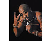 Triko Reflection Luxury - Blink Blink Rap Star 2