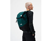 Batoh Aevor Daypack - Proof Evergreen