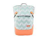 Batoh Aevor Daypack Flicker Mint Coral