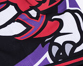 Kraťasy Mitchell & Ness Toronto Raptors Big Face