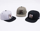 Kšiltovka Cayler & Sons 2Pac Lines Snapback Grey/Black