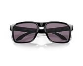 Brýle Oakley Holbrook XL Hi Resolution/Prizm Grey 0OO9417 94172759