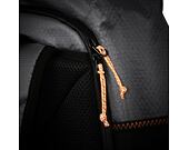 Batoh Aevor Trip Pack Proof Proof Sundown
