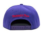 Kšiltovka Mitchell & Ness "Year of the Rabbit" Snapback HWC TORONTO RAPTORS Purple