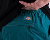Kraťasy Dickies JACKSON CARGO SHORT DK0A4YACE641