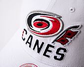 Kšiltovka Mitchell & Ness NHL All In Pro Snapback Hurricanes White