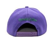 Kšiltovka Mitchell & Ness NBA Paint By Number Snapback HWC Bucks Purple