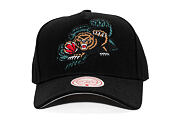 Kšiltovka Mitchell & Ness - NBA Tilted Pro Snapback Hwc - Vancouver Grizzlies - Black