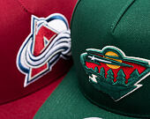Kšiltovka Mitchell & Ness - Minnesota Wild - Double Clutch Pro Snapback - Green