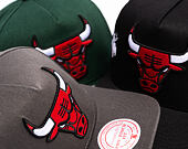 Kšiltovka Mitchell & Ness  - NBA Born To Win - Pro Pinch Snapback - Chicago Bulls - Grey