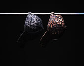 Dámská Kšiltovka New Era - MLB Cosy Leopard 9FORTY - LA Dodgers - Black