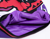 Kraťasy Mitchell & Ness Toronto Raptors Big Face