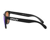 Sluneční Brýle Oakley Frogskins Matte Black/Prizm Violet OO9013-H655