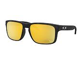 Sluneční Brýle Oakley Holbrook MotoGP Matte Black Tortoise/Prizm 24K Polarized OO9102-O355