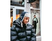 Beranice New Era Tech Fabric Trapper Navy/Gray