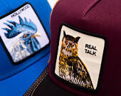 Kšiltovka Goorin - Tricolor Owl