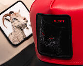 Kšiltovka Goorin - Courtside Misfit - Rush / Void