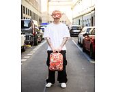 Batoh Fjällräven - Kånken Graphics Laptop 15