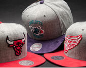 Kšiltovka Mitchell & Ness Heather Micro Detroit Red Wings Grey/Red Snapback