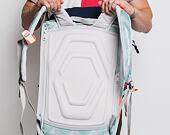 Batoh Aevor Daypack Flicker Mint Coral