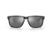 Sluneční brýle Oakley Holbrook XL - Steel / Prizm Black Polarized - OO9417-3059