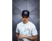 Kšiltovka Cayler & Sons WL Northpaul Cap Black/MC