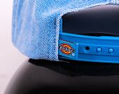 Kšiltovka Dickies HARDWICK DUCK CANVAS DK0A4Y9IF291