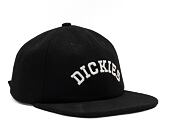 Kšiltovka Dickies WEST VALE CAP DK0A4YFZBLK1