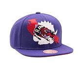 Kšiltovka Mitchell & Ness NBA Paint By Number Snapback HWC Raptors