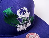 Kšiltovka Mitchell & Ness NBA Paint By Number Snapback HWC Bucks Purple