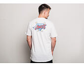 Triko New Era Coast 2 Coast Chest Tee Anaheim Angels White