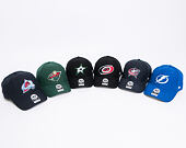 Kšiltovka 47 Brand Minnesota Wild MVP Dark Green Strapback