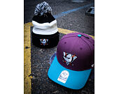 Kšiltovka 47 Brand Anaheim Ducks Cold Zone Two Tone MVP DP Purple/Blue
