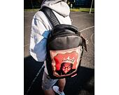 Batoh Sprayground Biggie 2021