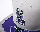 Kšiltovka Mitchell & Ness NBA Munch Time Snapback HWC Bucks Grey